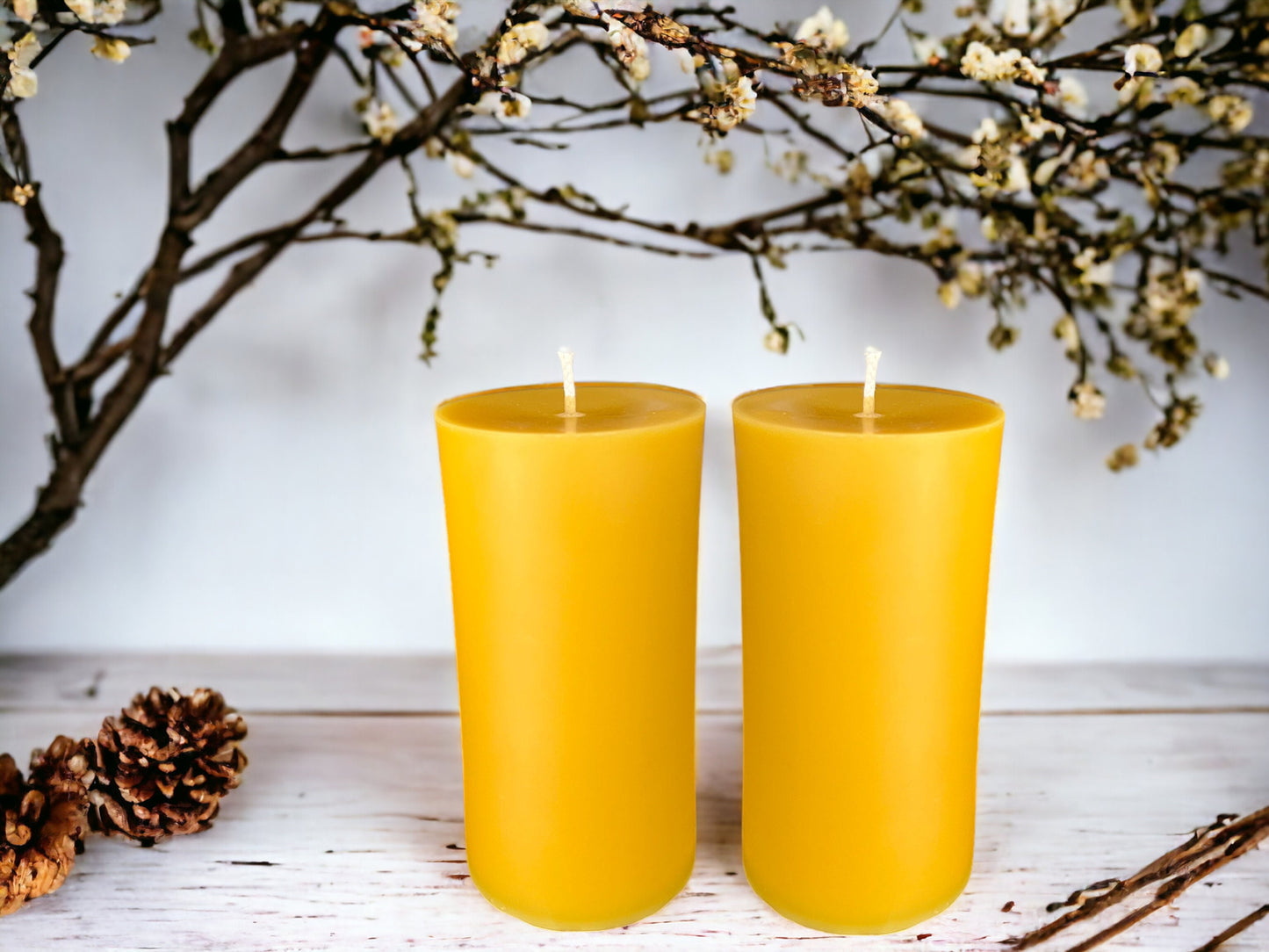 5.75 x 3 in, 65+ Hour Burn Time, Pure Beeswax Pillar Candle