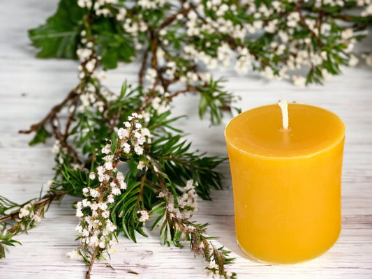 3.75 x 3 in, 50-55 Hour Burn Time, Pure Beeswax Pillar Candle